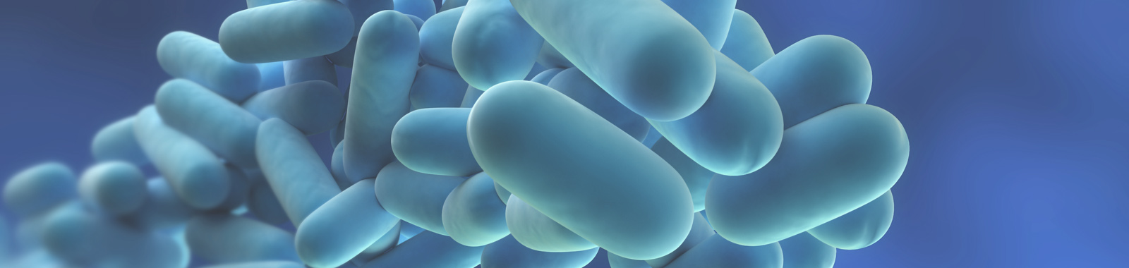 Legionellenuntersuchungen nach aktueller Trinkwasserverordnung