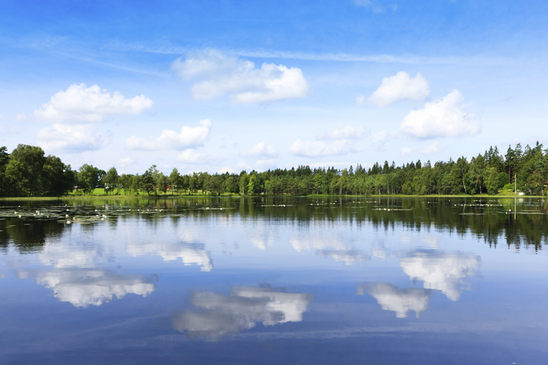 Oberflächengewässer, Fließgewässer