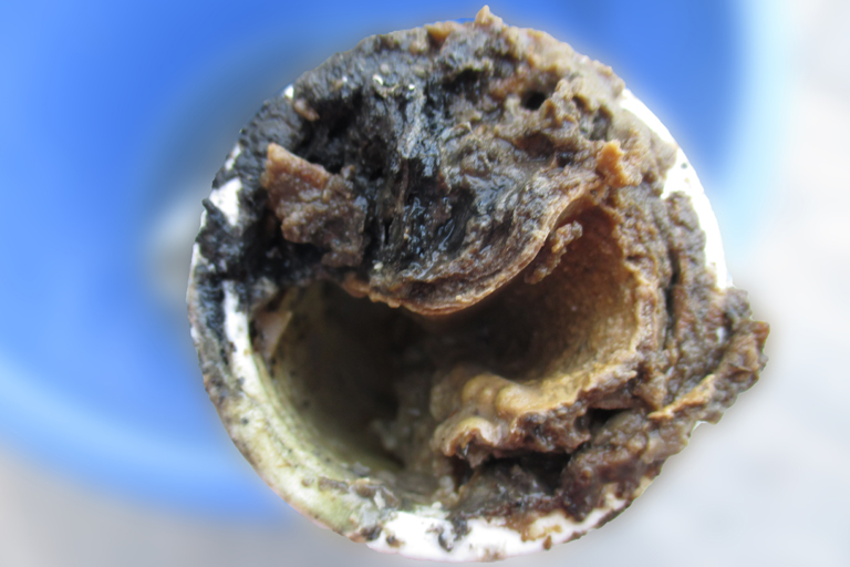 Sielhautuntersuchungen