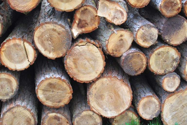 Verschiedenste Brennstoffe