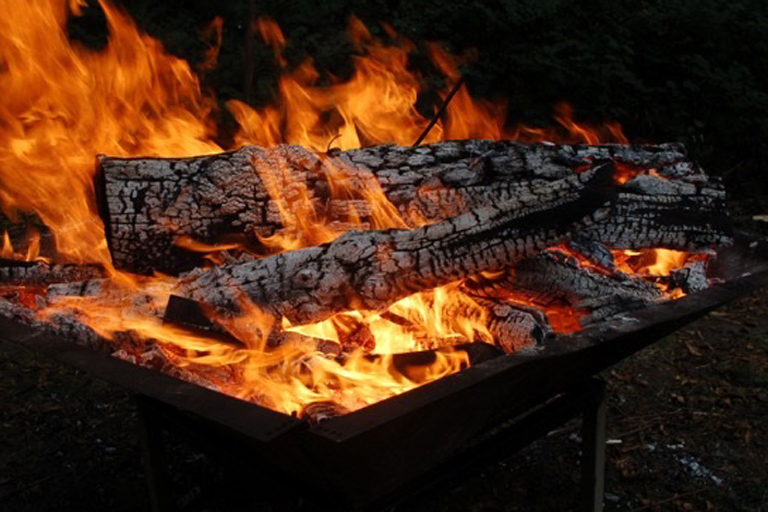 Holzasche