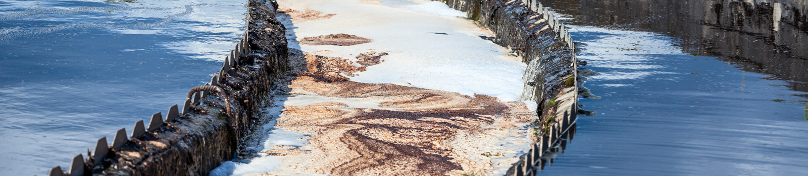 Klärschlamm Phosphor Grenzwerte