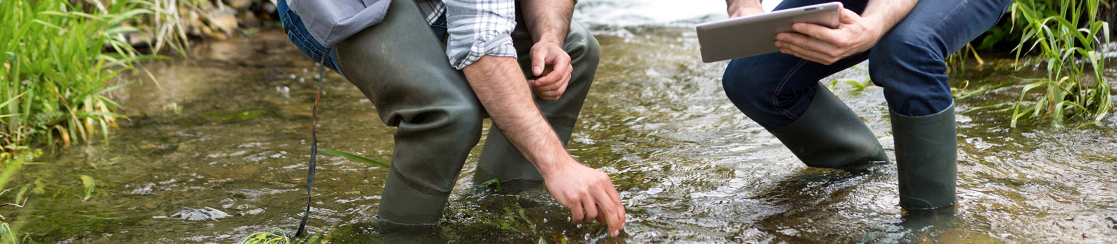 Wasserrahmenrichtlinie Gewässer