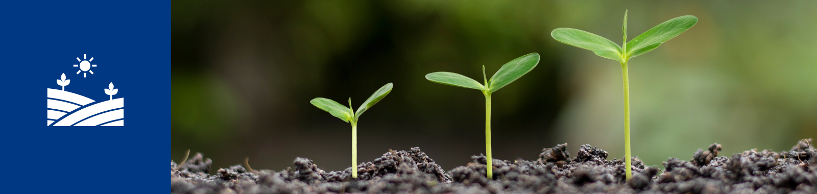 PFAS-Belastung erkennen – Gewissheit erhalten